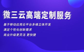 系统定制 高端项目定制 新项目定制 app定制 小程序定制