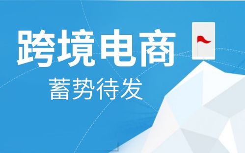 商联达资讯 上海进口跨境电商系统定制开发多少钱